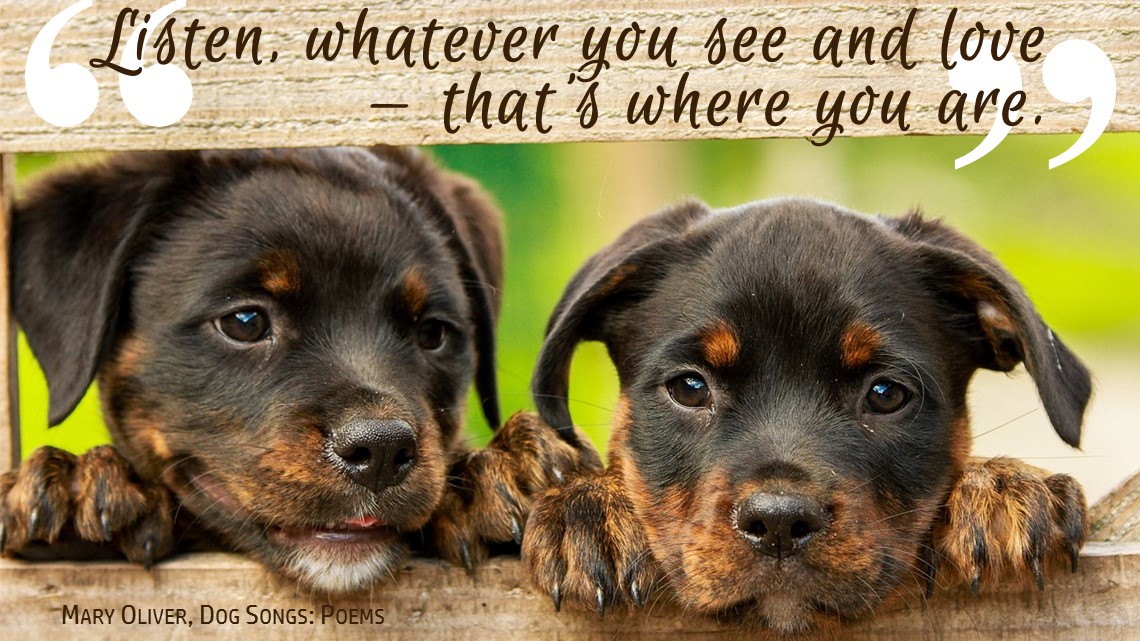 &quot;Listen, whatever you see and love - that's where you are.&quot; -- Mary Oliver, Dog Songs: Poems